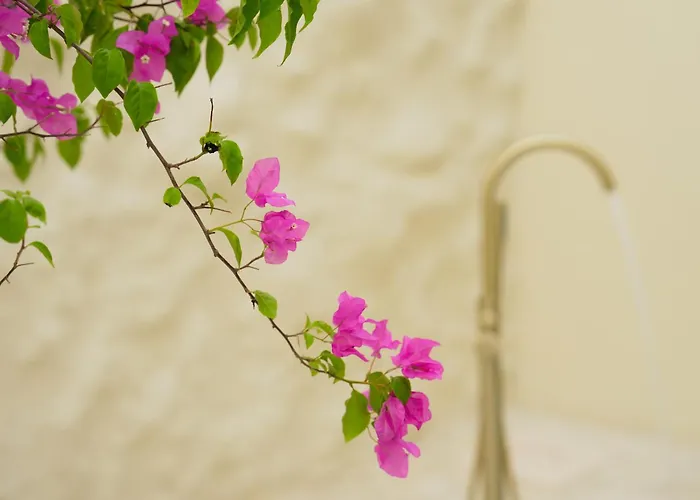 Brand New Tropical With Pool - Minutes To Melasti & فيلة *